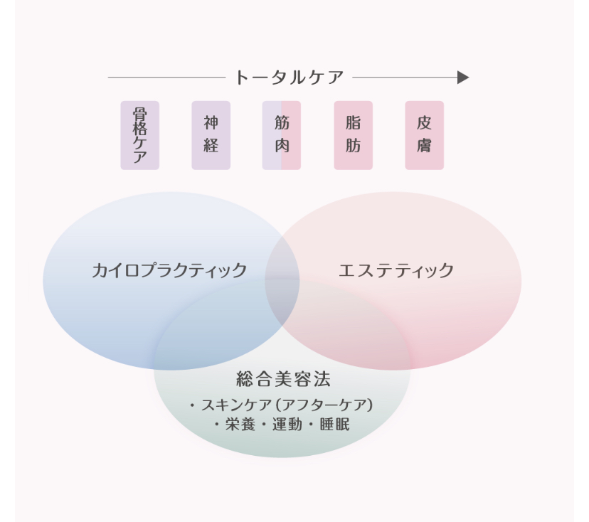 カイロプラクティックとエステティック・総合美容の相関図（カイロプラクティックしゅん）